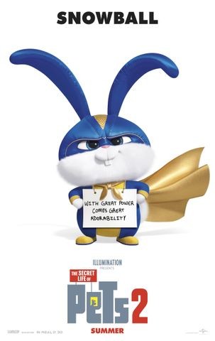 Poster for The Secret Life of Pets 2 (2019)