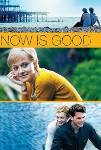 Poster for Now Is Good (2012)