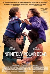 Poster for Infinitely Polar Bear (2014)