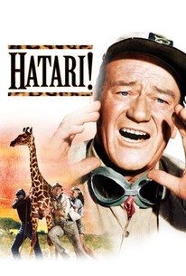 Poster for Hatari! (1962)