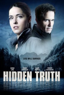 Poster for Hidden Truth: Lies Will Surface (2016)