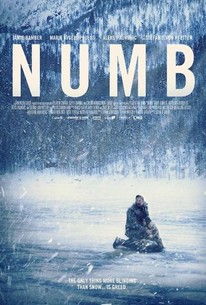 Poster for Numb (2015)
