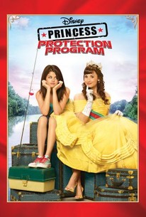 Poster for Princess Protection Programme (2009)