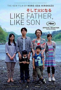 Poster for Like Father, Like Son (2013)