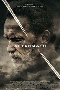 Poster for Aftermath (2017)